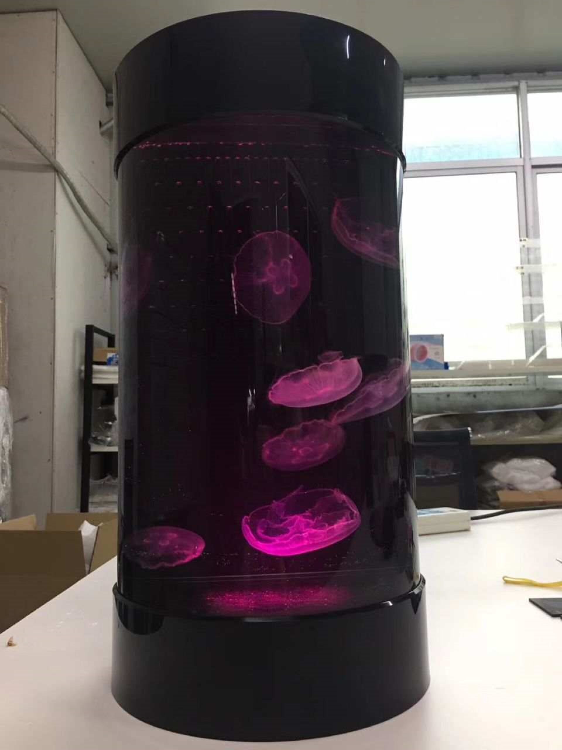nano jellyfish tank aquarium