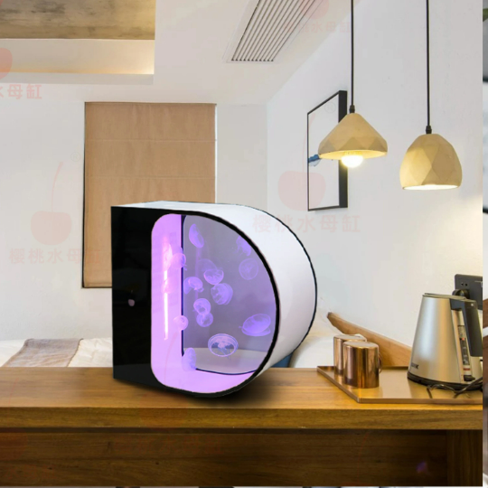 Live Jellyfish Aquarium