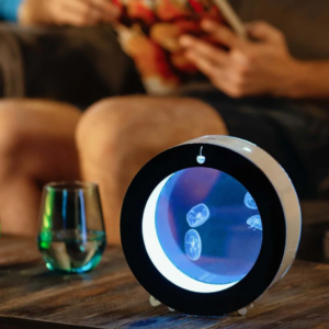 Desktop jellyfish Tank