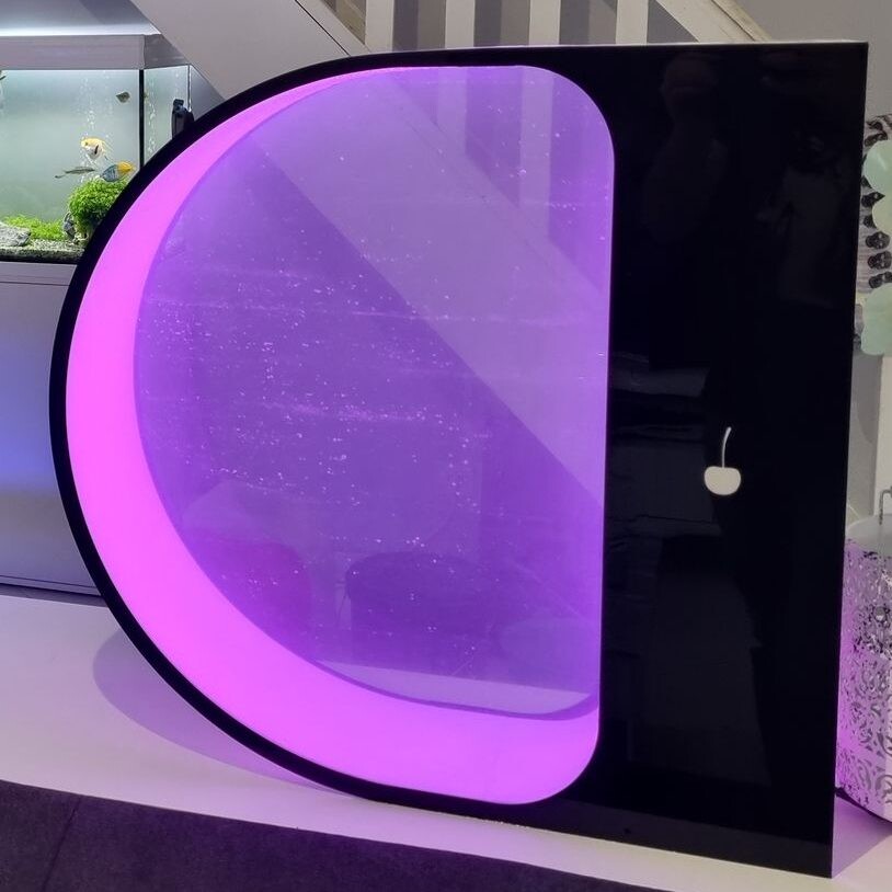 Live jellyfish tank aquarium