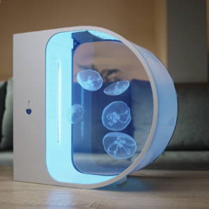 live Pet Jellyfish Tank aquarium with moon jellyfish