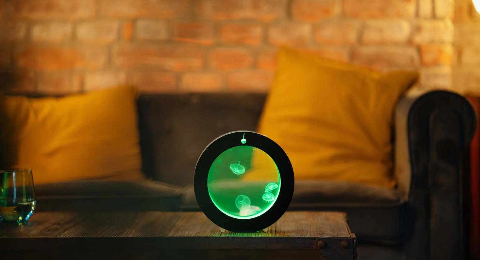 desktop pet jellyfish tank