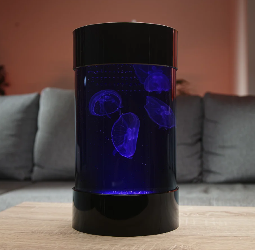 Nano Jellyfish Tank