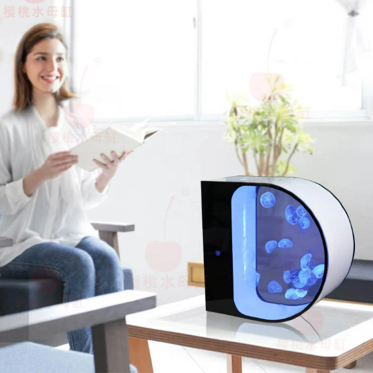 live jellyfish aquarium tank