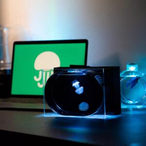 Small Jellyfish Tank Aquarium