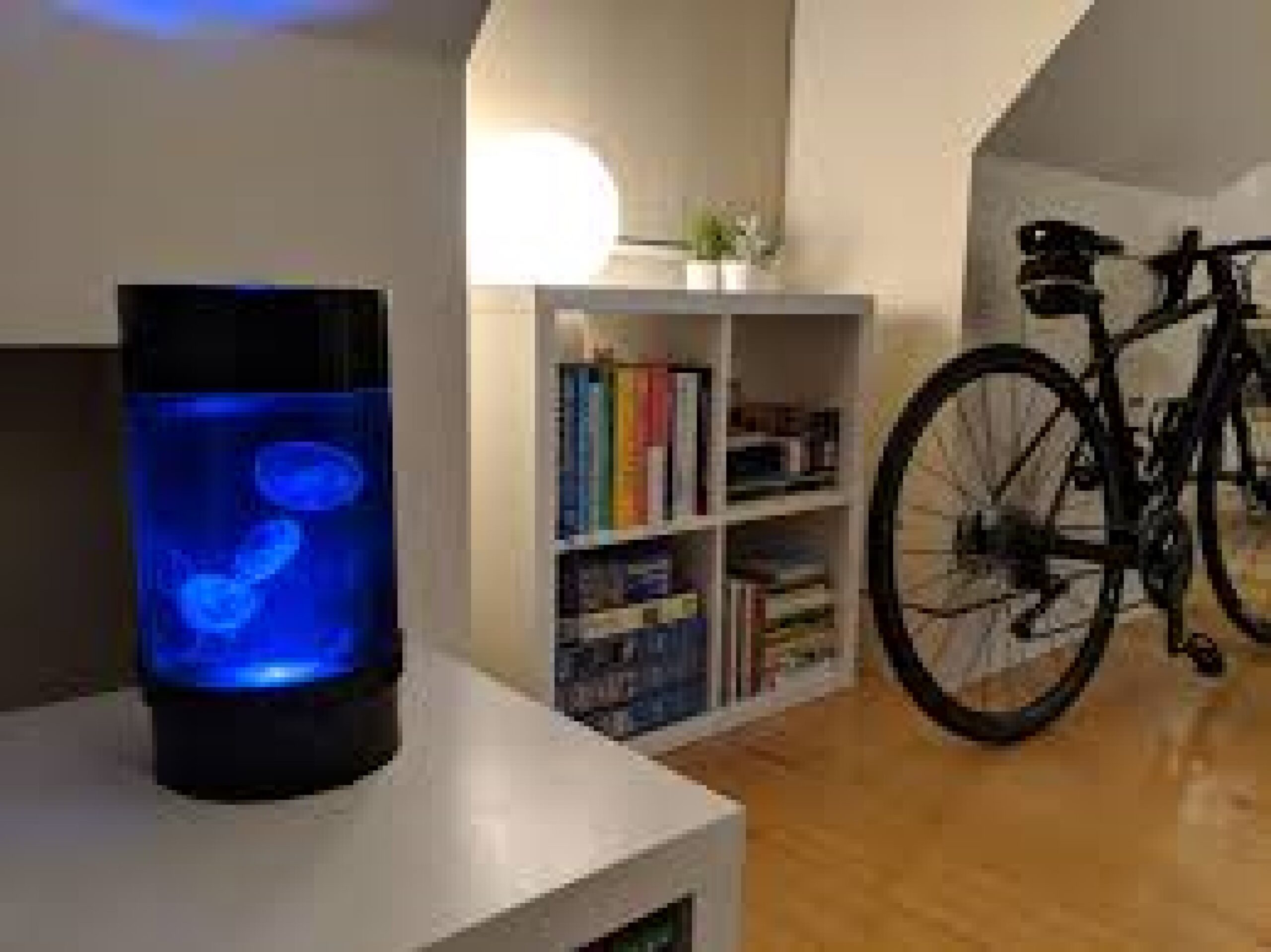 nano jellyfish tank